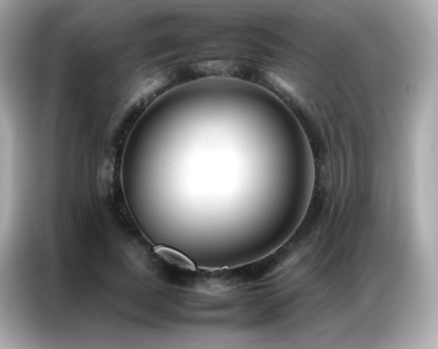 X0000087060739200704181258