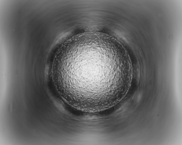 X0000087060742200704181258