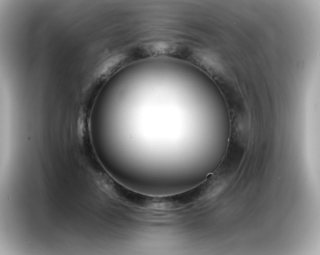 X0000087060746200704181258