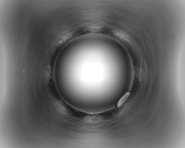 X0000087060752200704181258