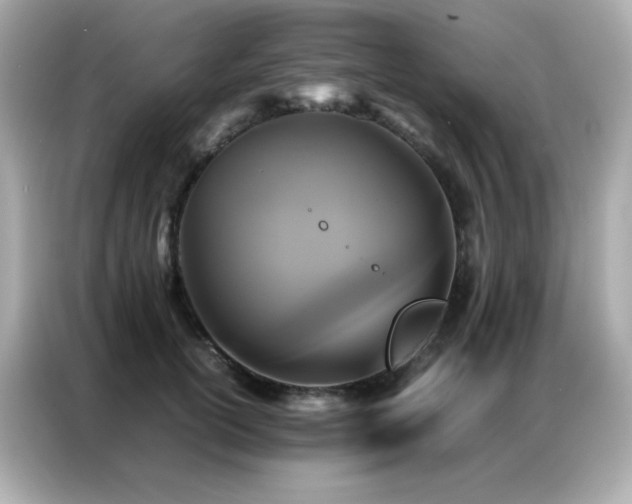 X0000087060754200704181258