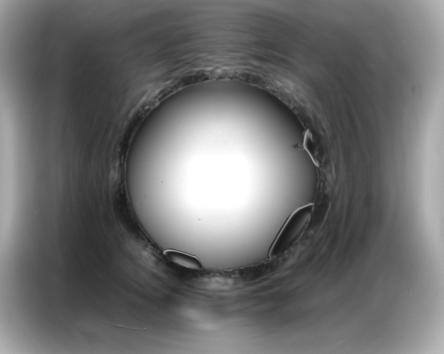 X0000087060756200704181258