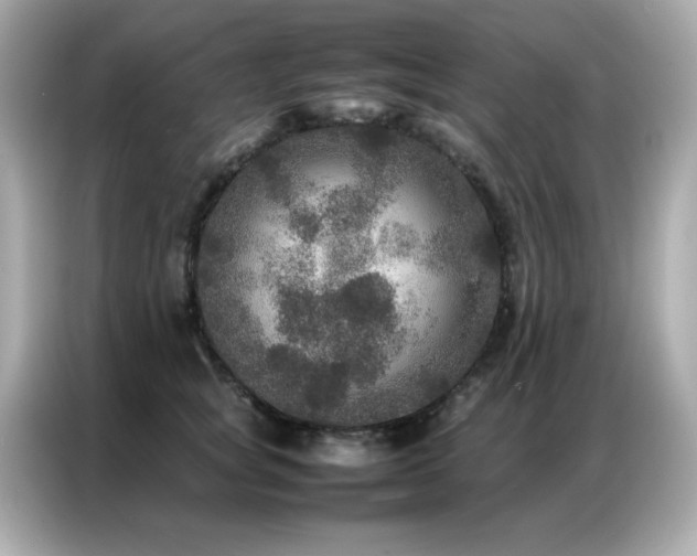 X0000087060757200704181258