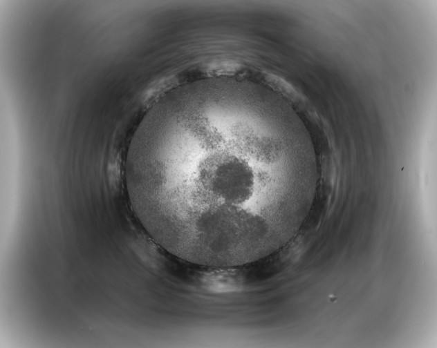 X0000087060761200704181258