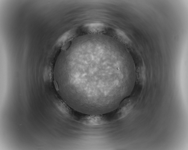 X0000087060762200704181258