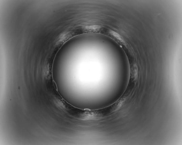 X0000087060764200704181258