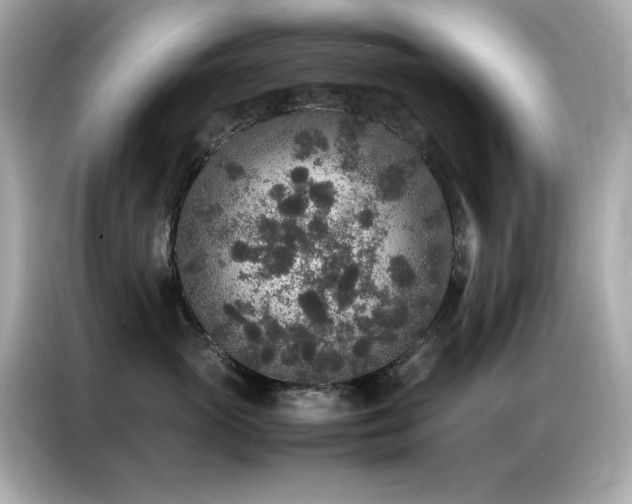 X0000087060765200704181258