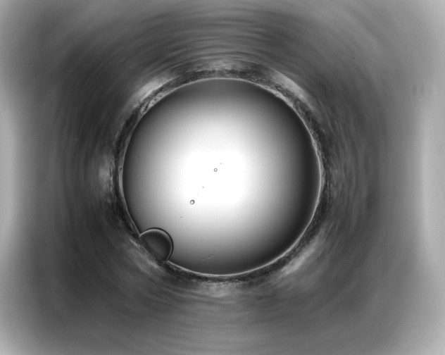 X0000087060778200704181257