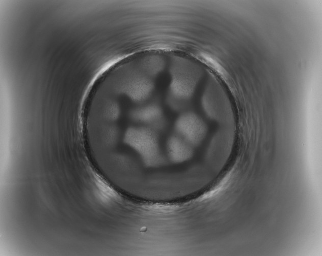 X0000087060779200704181257