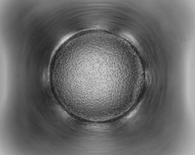 X0000087060780200704181257