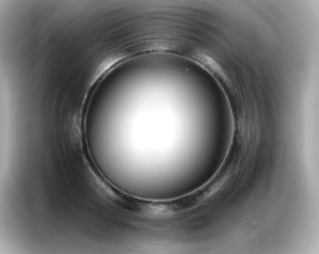 X0000087060794200704181257