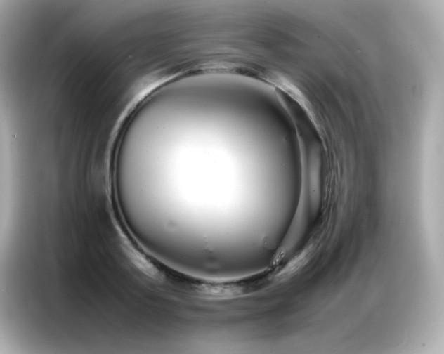 X0000087060795200704181257