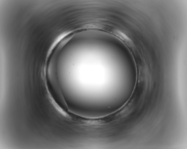 X0000087060796200704181257