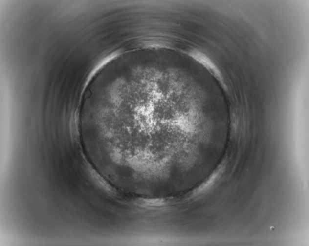 X0000087060798200704181257