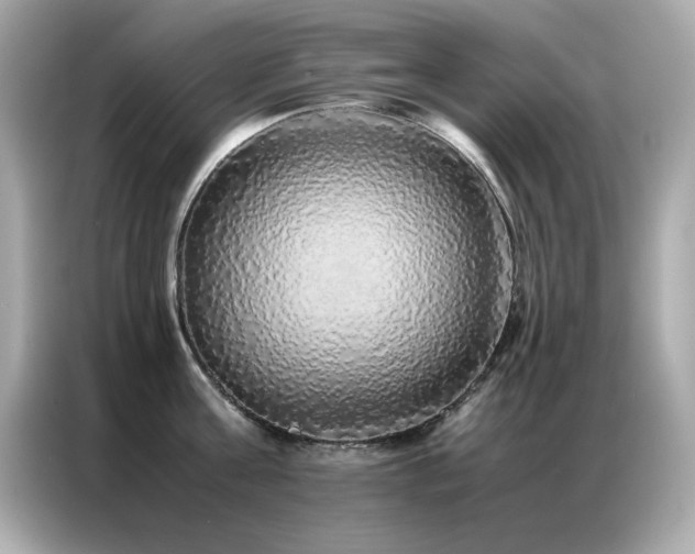 X0000087060811200704181257