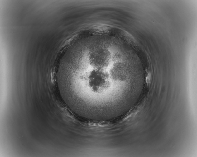 X0000087060819200704181256