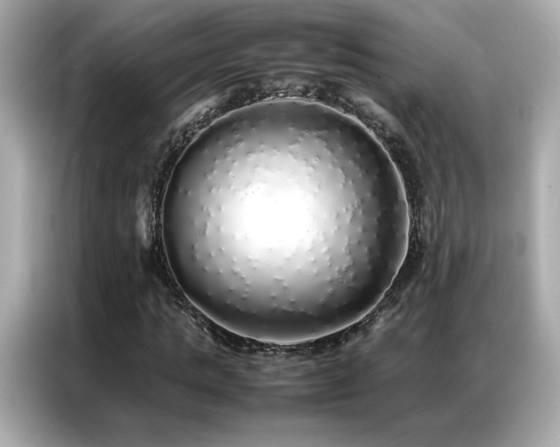 X0000087060821200704181256