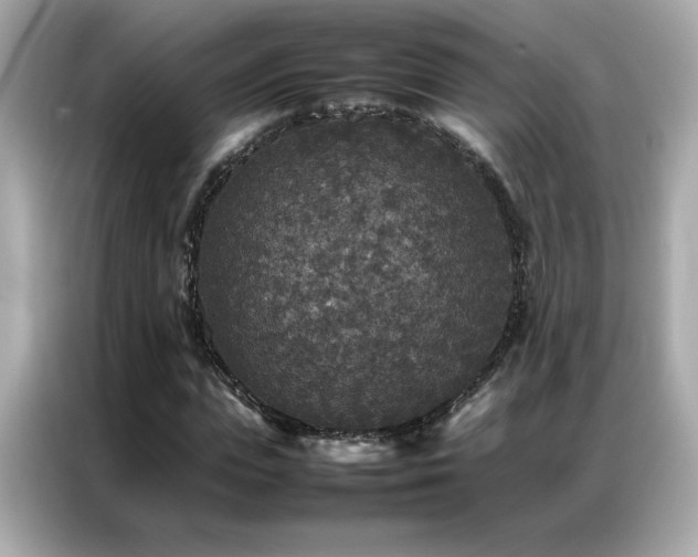 X0000087060823200704181256