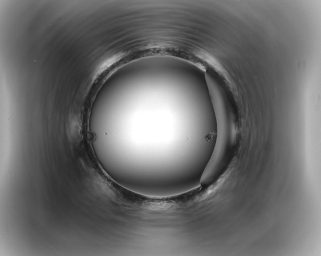 X0000087060826200704181256