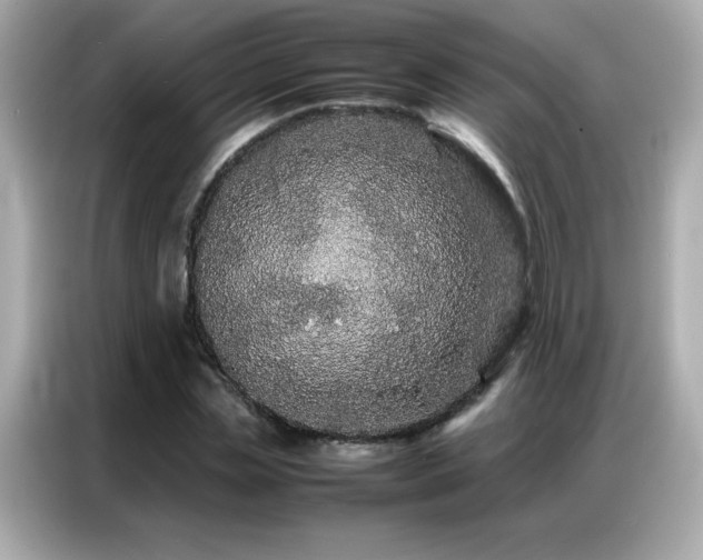 X0000087060829200704181256