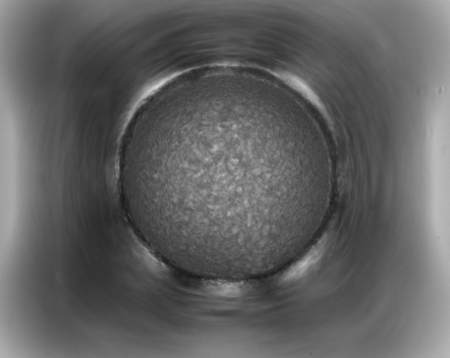 X0000087060831200704181256