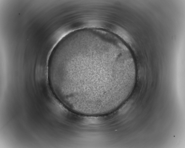 X0000087060836200704181256