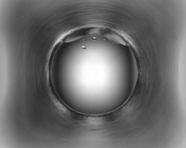 X0000087060840200704181256