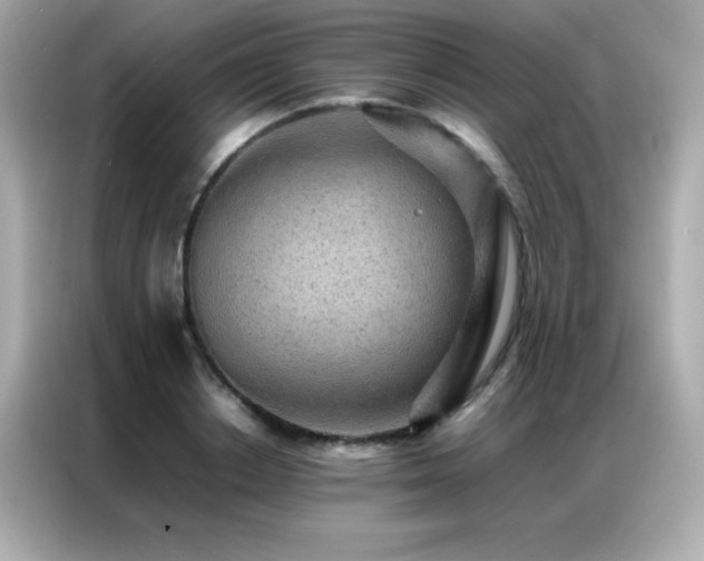 X0000087060842200704181256