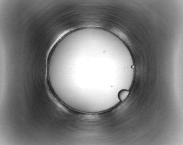 X0000087060844200704181256