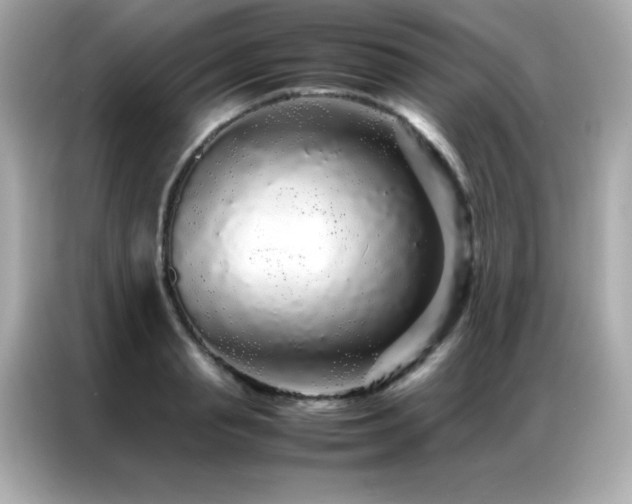 X0000087060845200704181256