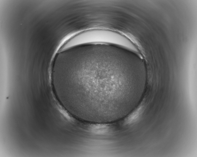 X0000087060846200704181256
