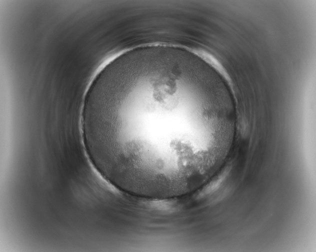 X0000087060847200704181256