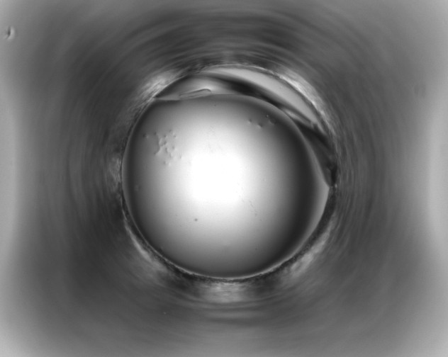 X0000087060849200704181256
