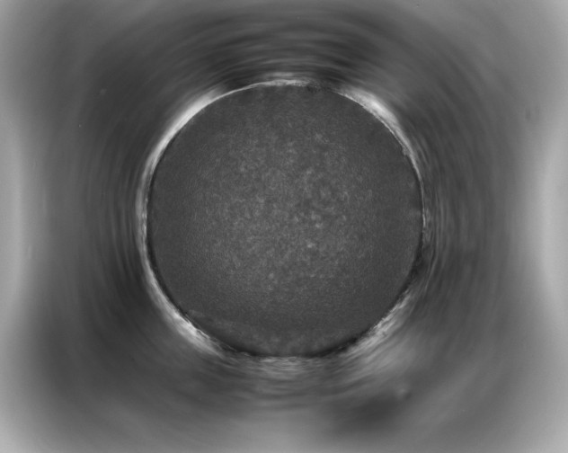 X0000087060859200704181257