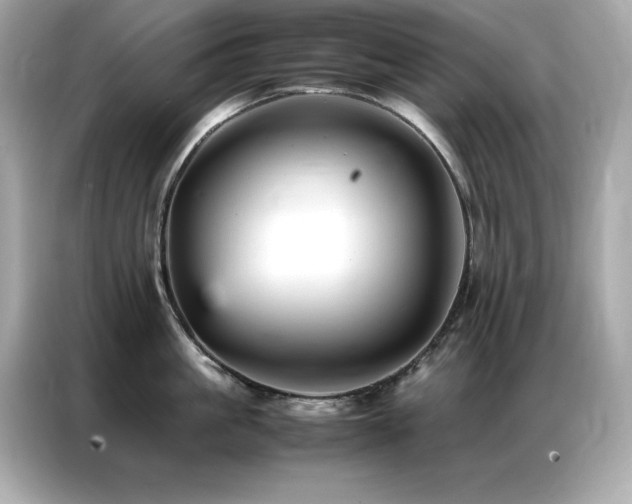 X0000087060861200704181257