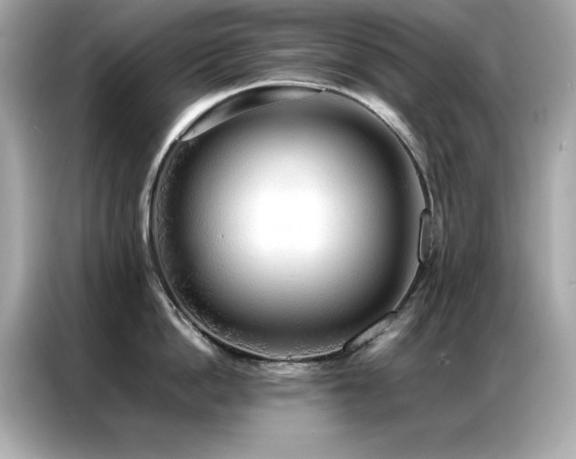 X0000087060862200704181257