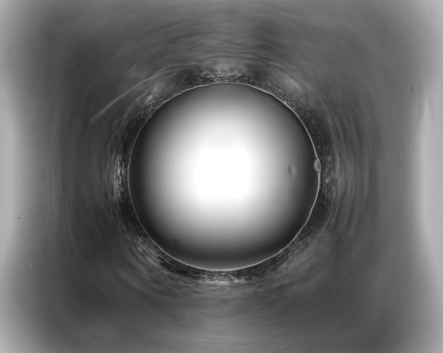 X0000087060866200704181256