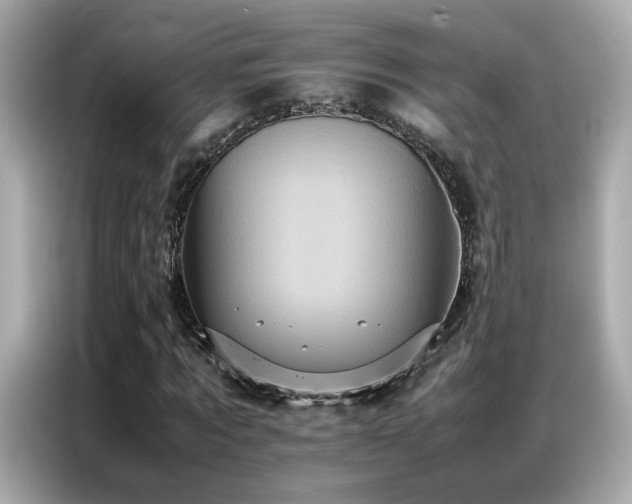 X0000087060869200704181256