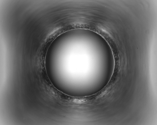 X0000087060870200704181256