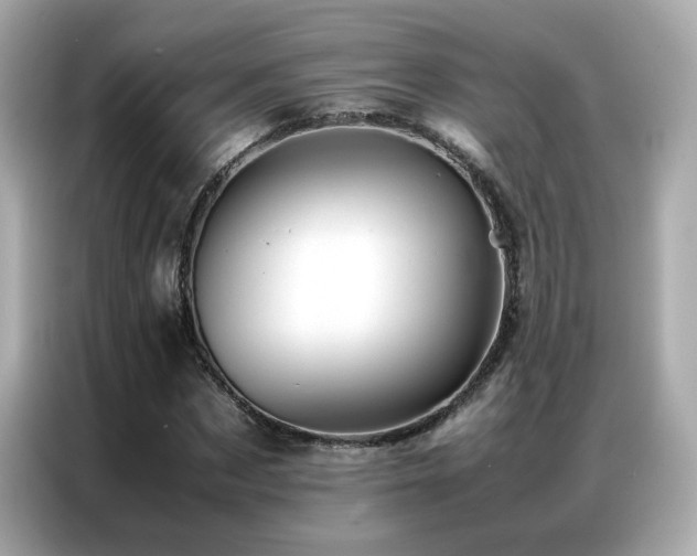 X0000087060873200704181256