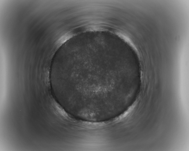 X0000087060881200704181256