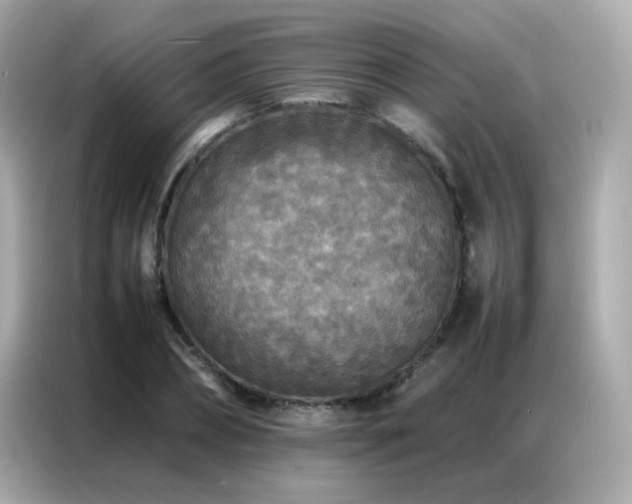 X0000087060882200704181256