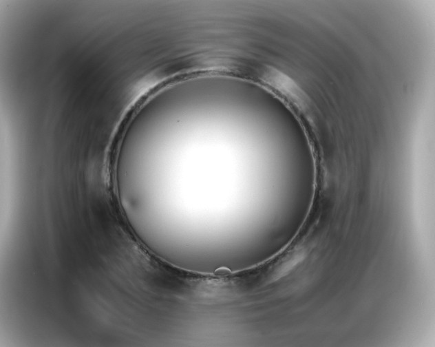 X0000087060883200704181256