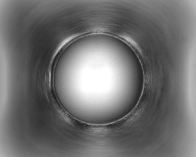 X0000087060886200704181256