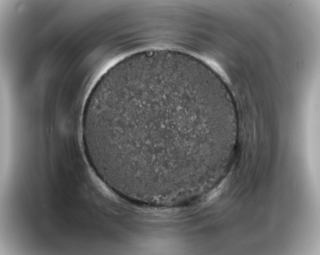 X0000087060895200704181256