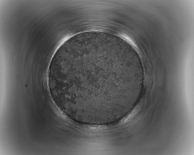 X0000087060899200704181256