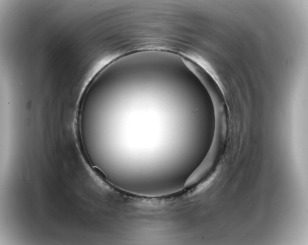 X0000087060901200704181256