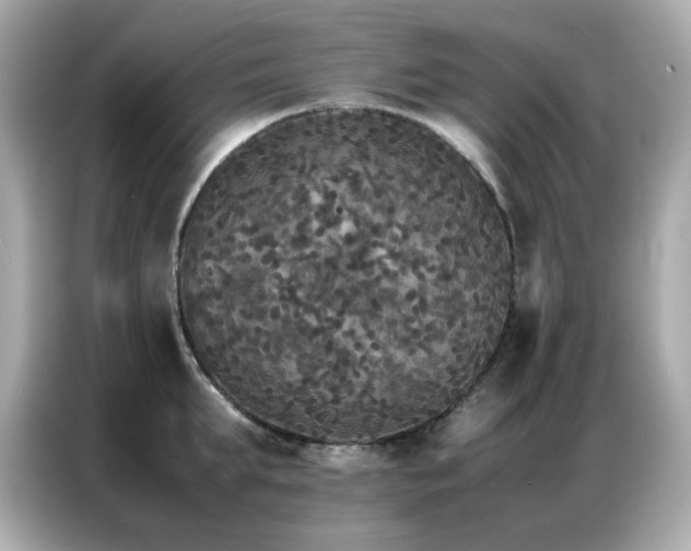 X0000087060903200704181256
