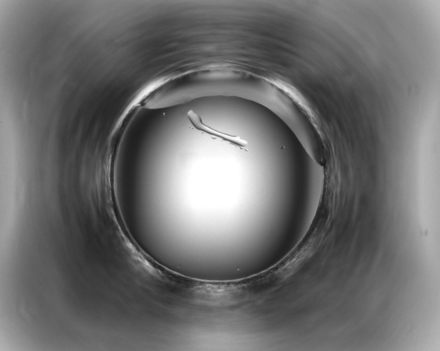 X0000087060910200704181255