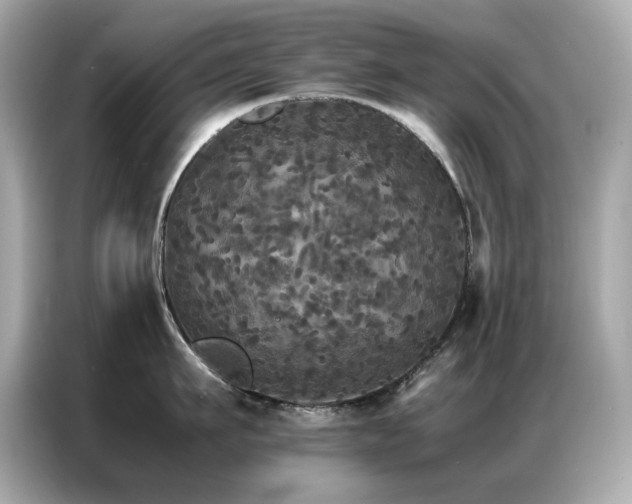 X0000087060911200704181255